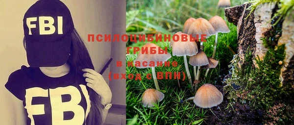 не бодяженный Заволжск