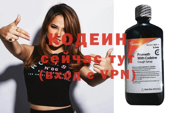 сатива Заволжье